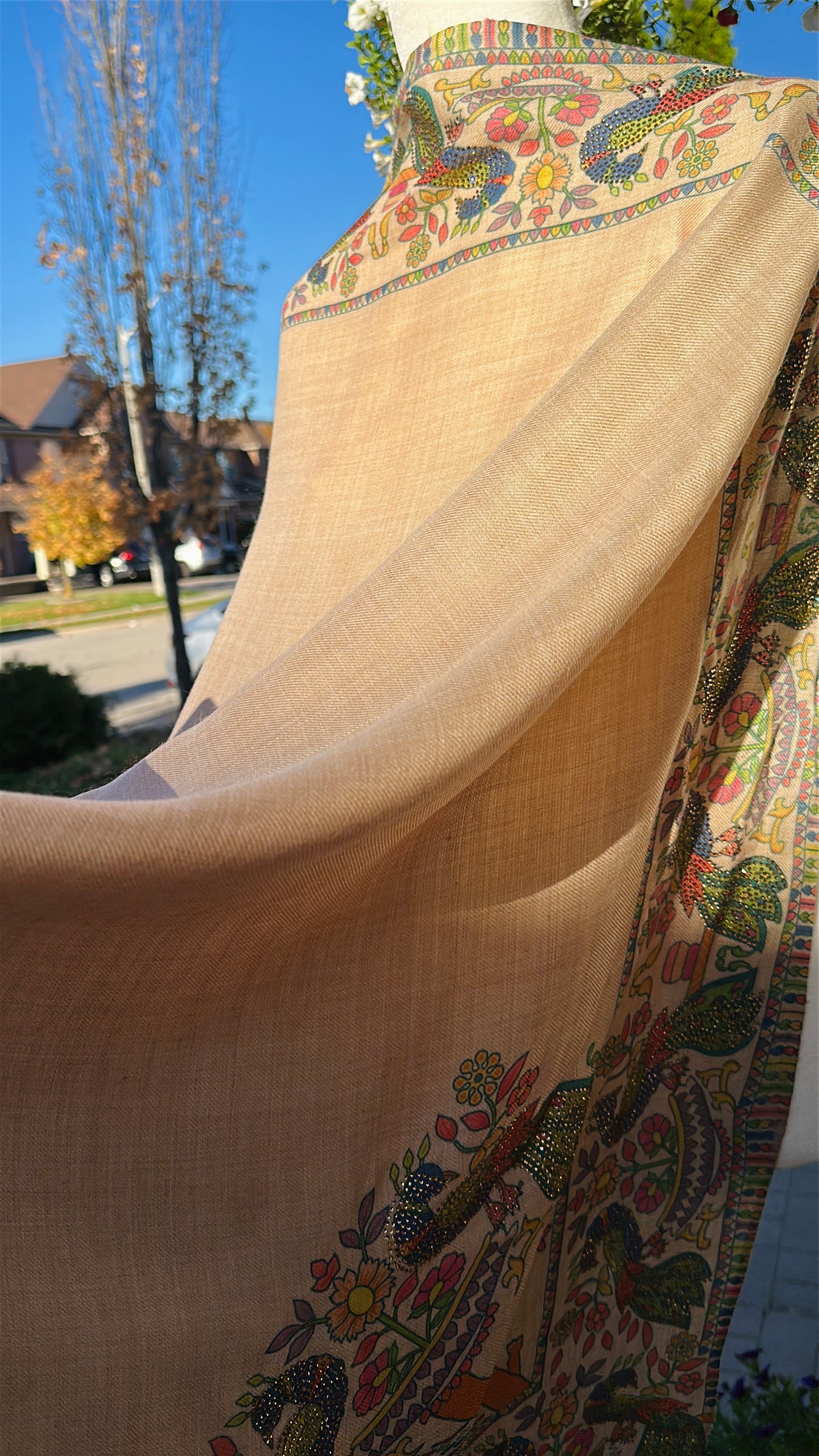 Raqs-e-Mor – The Dance of the Peacock Shawl