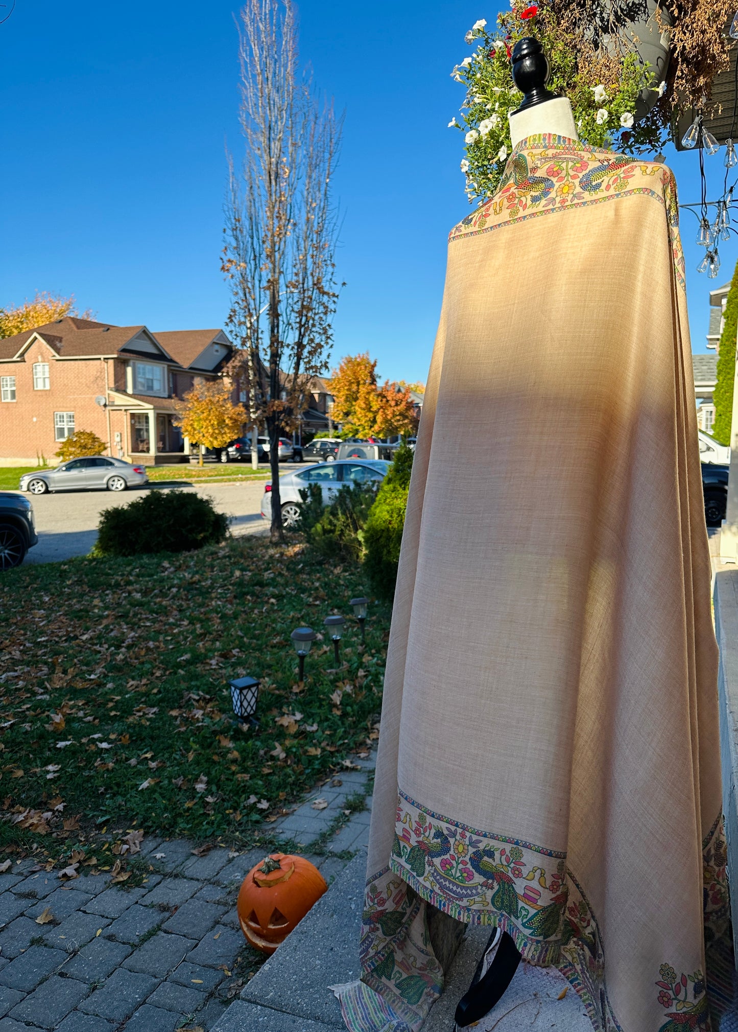 Raqs-e-Mor – The Dance of the Peacock Shawl