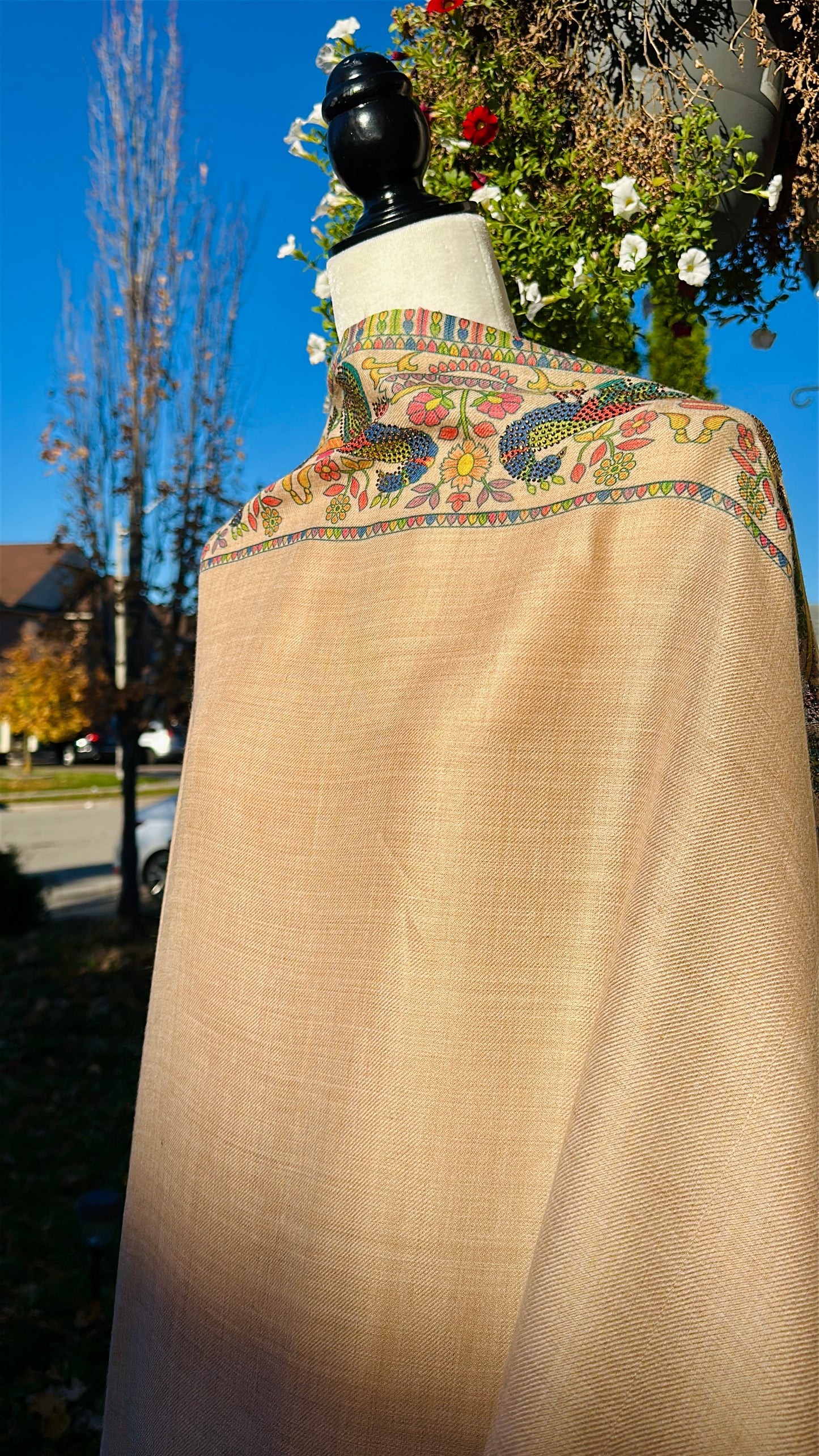 Raqs-e-Mor – The Dance of the Peacock Shawl