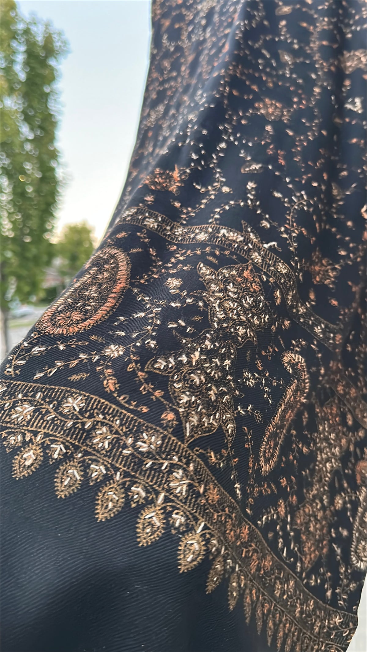 Zar-e-Shab Pashmina Kaftan
