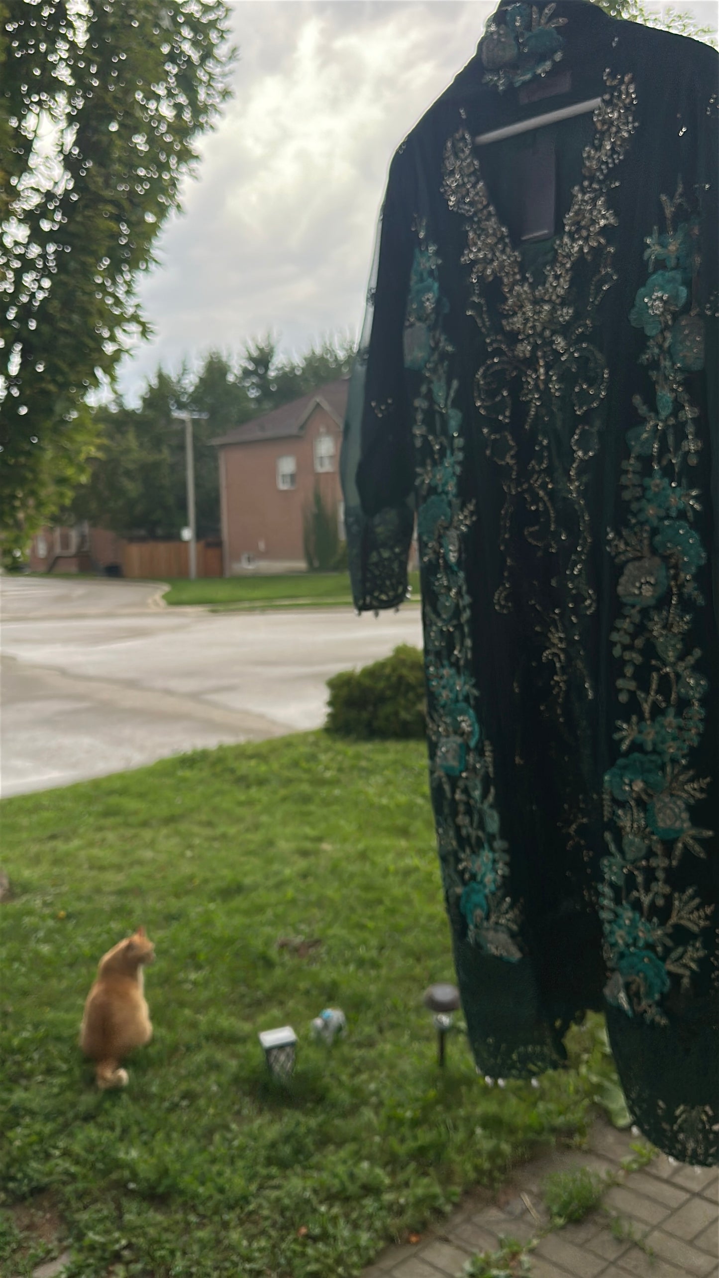 Midnight Emerald Élan — Luxury Embellished Chiffon 3-Piece Set