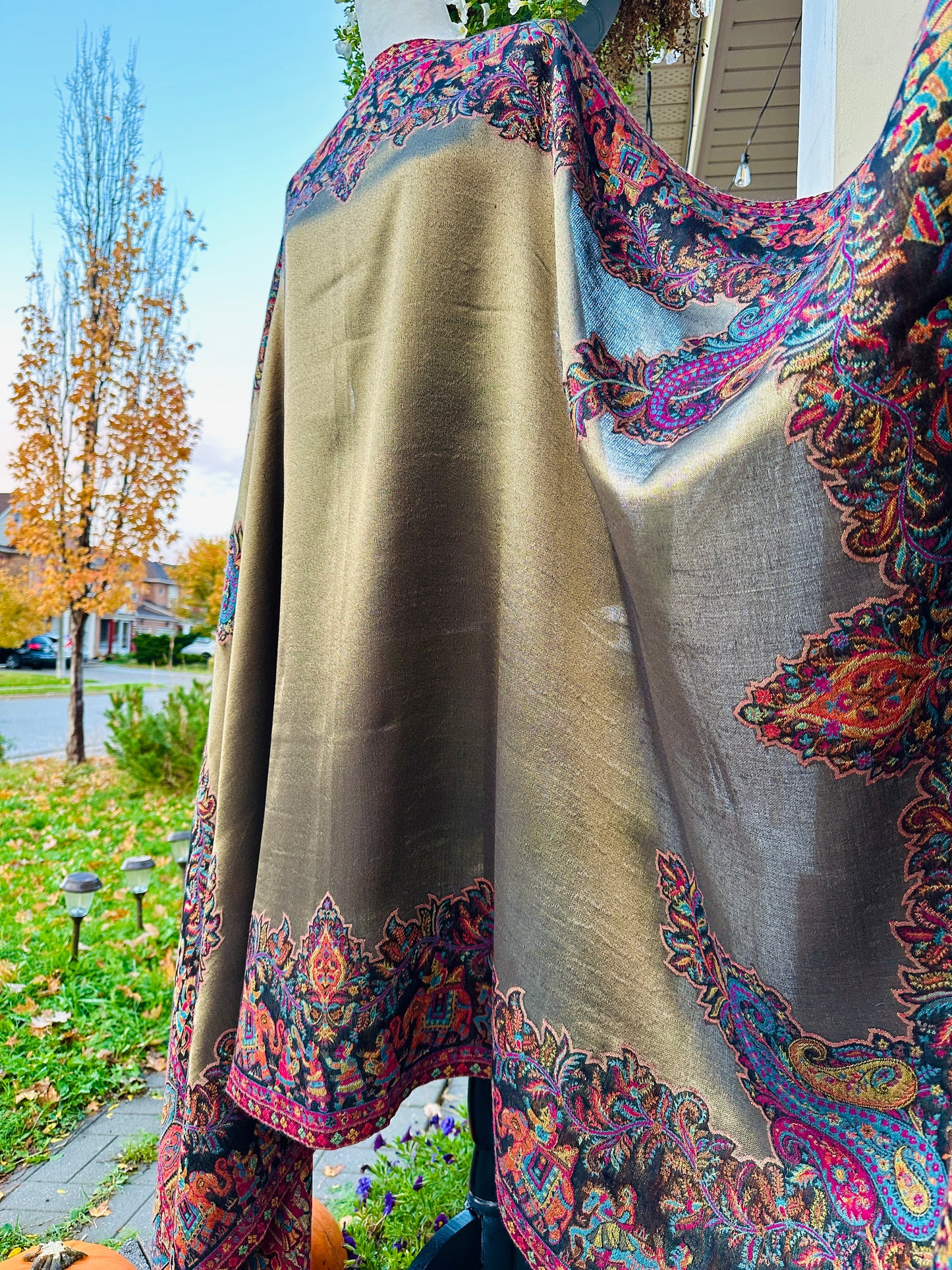 Mughal Muse Moonlit Shawl