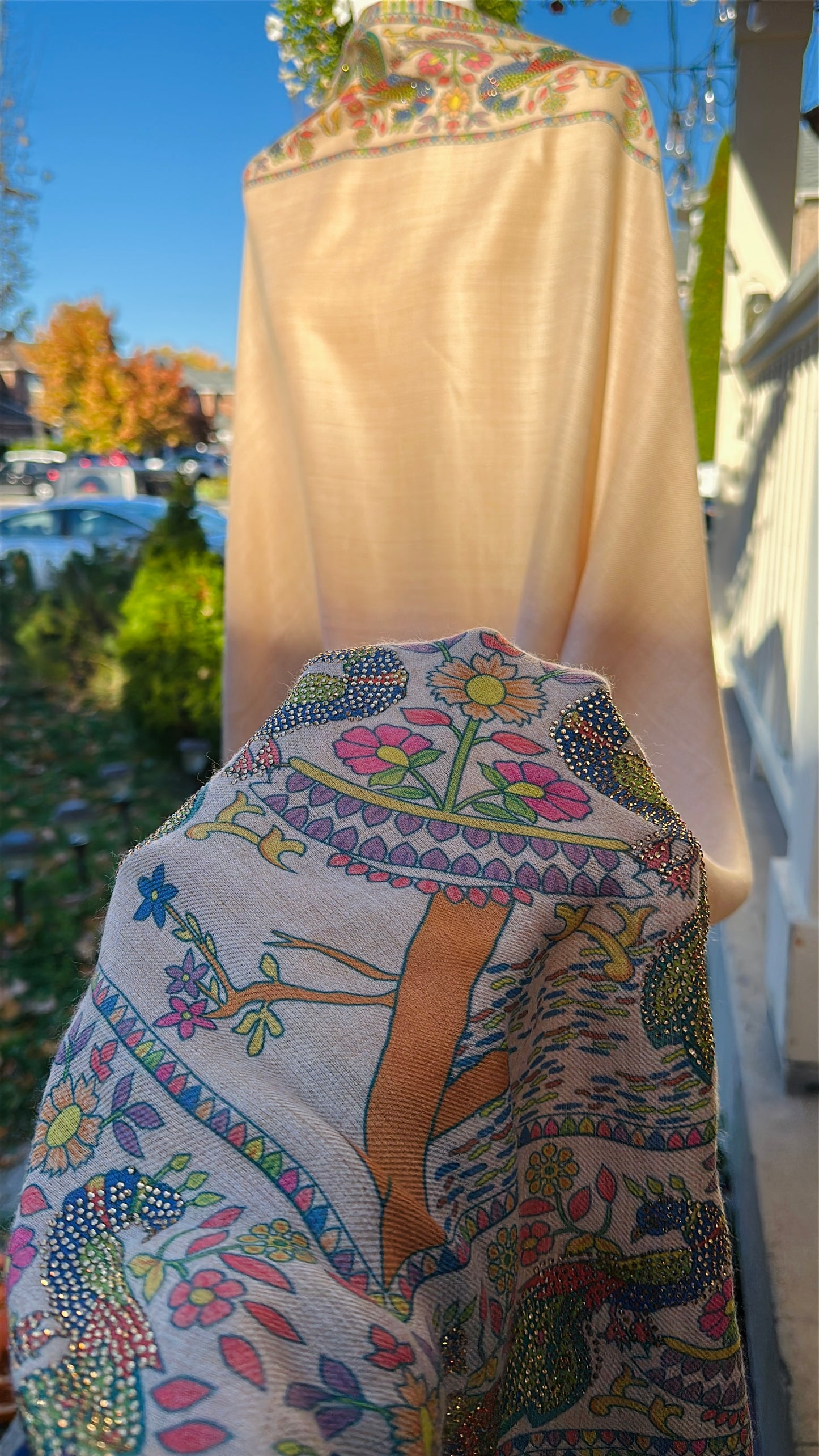 Raqs-e-Mor – The Dance of the Peacock Shawl