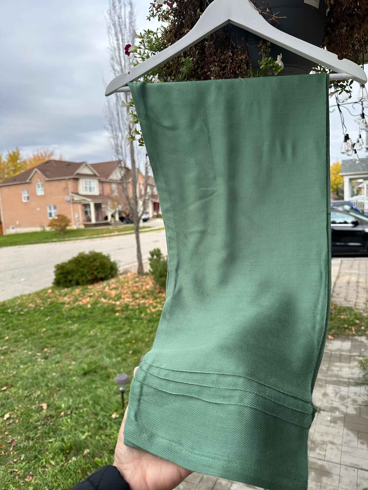 Pistachio Pashmina – Soft Heritage in Pastel Green