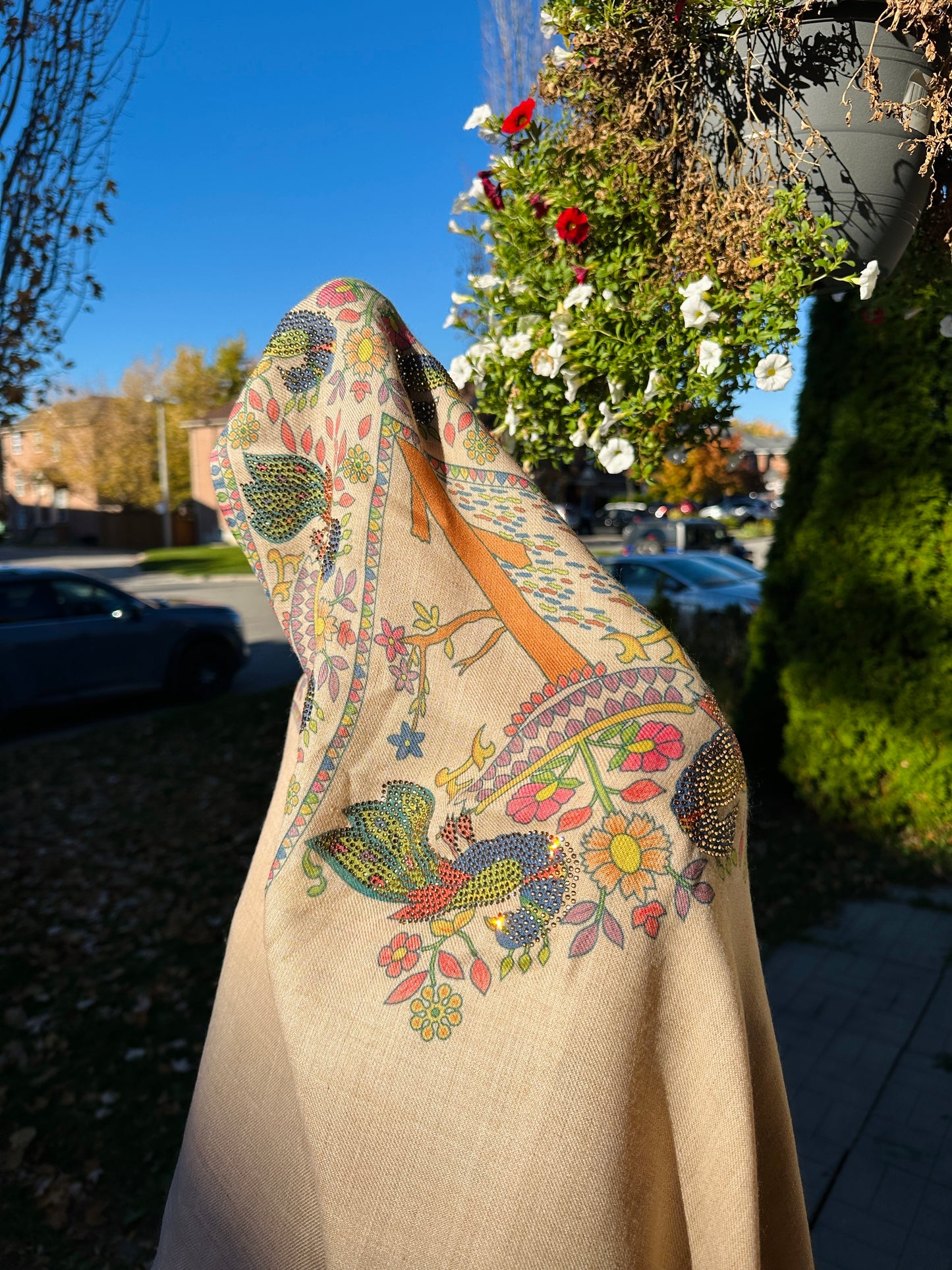 Raqs-e-Mor – The Dance of the Peacock Shawl