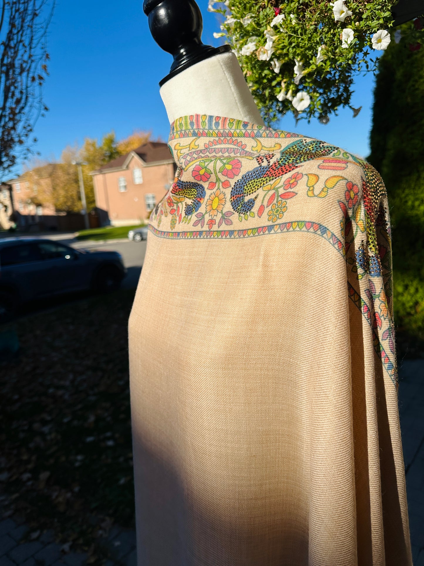 Raqs-e-Mor – The Dance of the Peacock Shawl