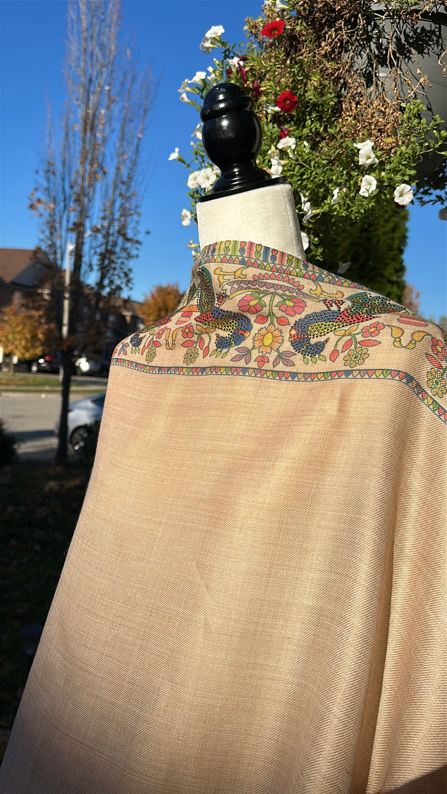 Raqs-e-Mor – The Dance of the Peacock Shawl