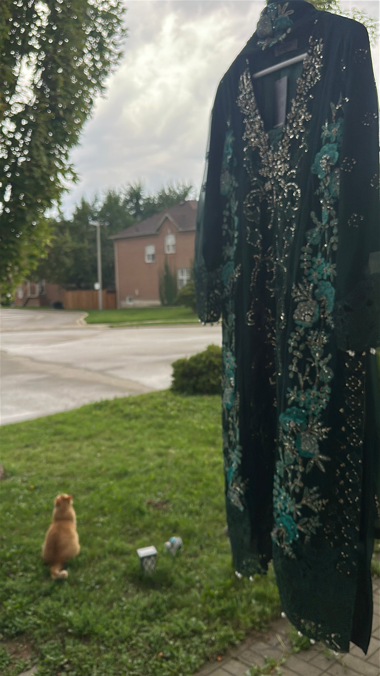 Midnight Emerald Élan — Luxury Embellished Chiffon 3-Piece Set