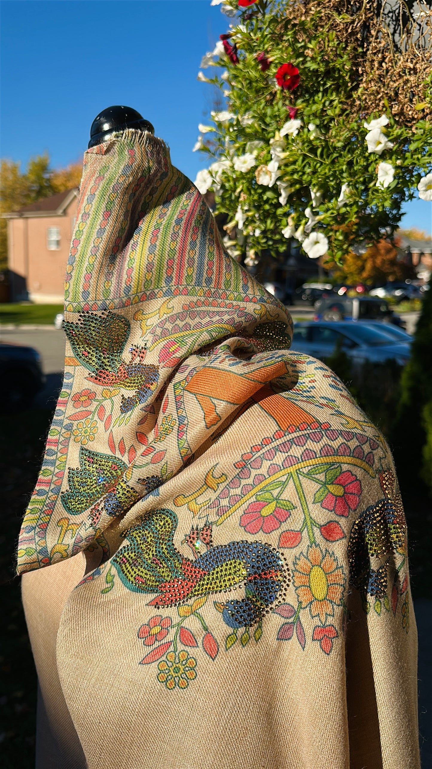 Raqs-e-Mor – The Dance of the Peacock Shawl